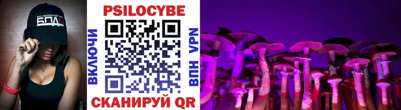 Псилоцибиновые грибы Psilocybe  MEGA онион  Никольское  что такое  