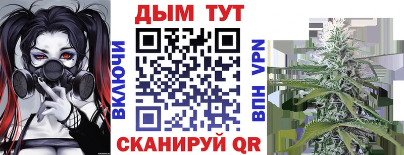 Каннабис сатива  как найти закладки  дарк нет наркотические препараты  Никольское  hydra вход 